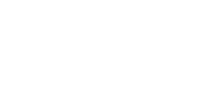 The Brain Trust Footer Logo